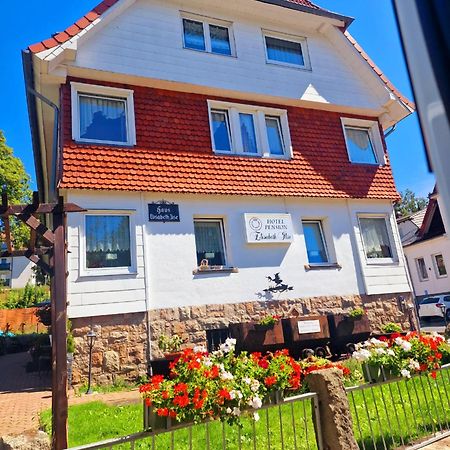 Hotel Elisabeth Ilse Braunlage Luaran gambar