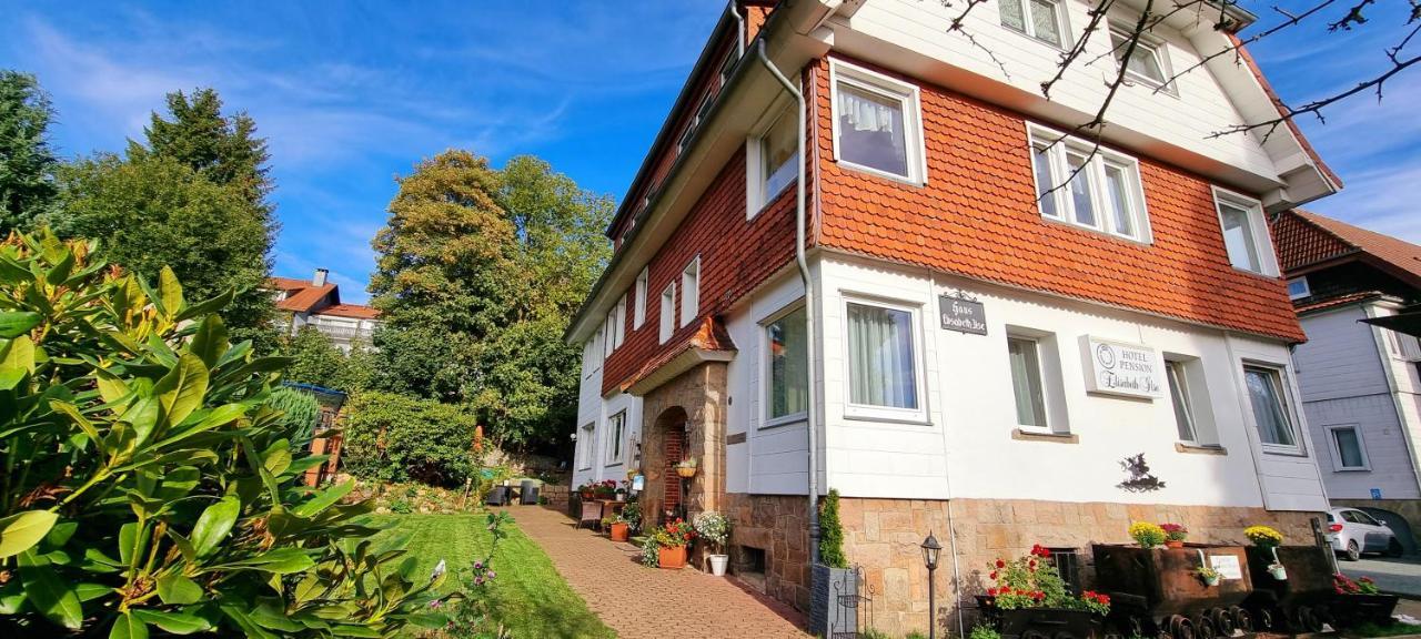 Hotel Elisabeth Ilse Braunlage Luaran gambar