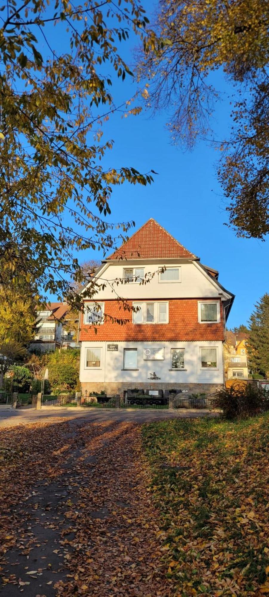 Hotel Elisabeth Ilse Braunlage Luaran gambar